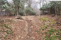 Property for sale in Avery County, North Carolina