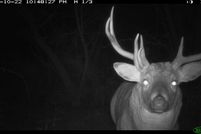 Property for sale in Richland County, Wisconsin