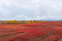 Property for sale in Waldo County, Maine