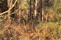 Property for sale in Trinity County, Texas