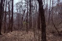 Undeveloped Land for sale in Haralson County, Georgia