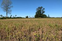 Property for sale in Bertie County, North Carolina