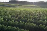 Property for sale in Leelanau County, Michigan