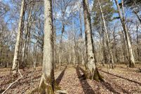 Property for sale in Leake County, Mississippi