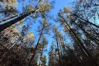 Property for sale in Neshoba County, Mississippi