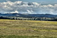 Property for sale in Custer County, South Dakota