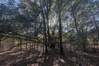 Property for sale in Jackson County, Florida