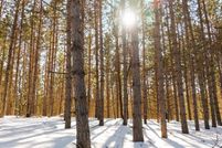 Lakefront Property for sale in Grand Traverse County, Michigan