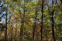 Farm Property for sale in Sevier County, Tennessee