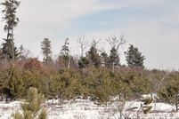 Property for sale in Clare County, Michigan