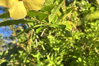 Property for sale in Hawaii County, Hawaii