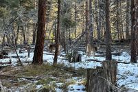 Undeveloped Land for sale in Missoula County, Montana