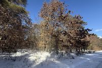 Property for sale in Mecosta County, Michigan