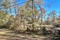 Undeveloped Land for sale in Jefferson County, Texas