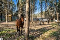 Waterfront Property for sale in Wexford County, Michigan