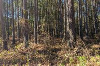 Property for sale in Burke County, Georgia