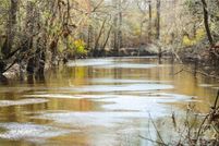 Property for sale in Evans County, Georgia