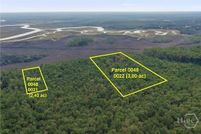 Property for sale in McIntosh County, Georgia