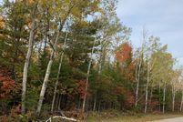 Property for sale in Presque Isle County, Michigan