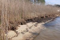 Property for sale in Jackson County, Mississippi