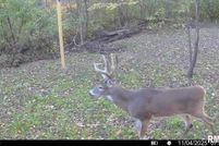 Property for sale in Edgar County, Illinois