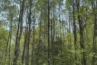 Property for sale in Clark County, Wisconsin