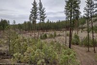 Undeveloped Land for sale in Stevens County, Washington