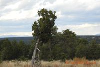 Property for sale in San Miguel County, New Mexico