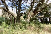 Property for sale in Brunswick County, North Carolina