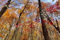 Undeveloped Land for sale in Sussex County, New Jersey