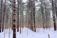 Property for sale in Washburn County, Wisconsin