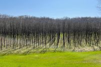 Commercial Property for sale in Ohio County, Indiana