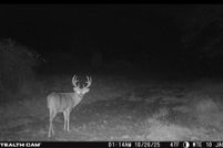 Property for sale in Jackson County, Indiana