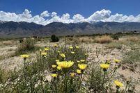 Property for sale in Mono County, California