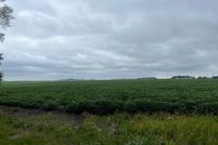 Undeveloped Land for sale in Renville County, Minnesota