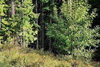 Property for sale in Benewah County, Idaho