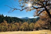 Undeveloped Land for sale in Trinity County, California