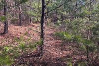 Undeveloped Land for sale in Campbell County, Virginia