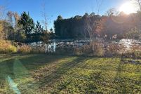 Undeveloped Land for sale in Wilcox County, Georgia