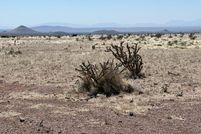 Property for sale in Socorro County, New Mexico