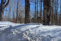 Undeveloped Land for sale in Windham County, Connecticut