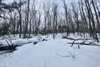 Lakefront Property for sale in Otsego County, Michigan