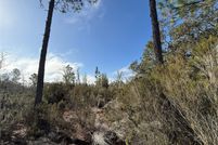 Property for sale in Levy County, Florida