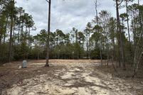 Undeveloped Land for sale in Walton County, Florida