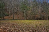 Undeveloped Land for sale in Roane County, West Virginia