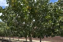 Farm Property for sale in Kings County, California