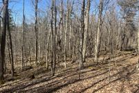 Undeveloped Land for sale in Berkshire County, Massachusetts