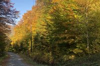 Undeveloped Land for sale in Bennington County, Vermont