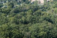 Undeveloped Land for sale in Delaware County, Ohio