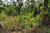 Undeveloped Land for sale in Seminole County, Florida